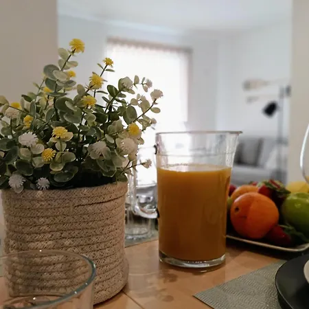 Grey And Green, Modern 2-bedroom Apartment, Ac, Location At Faro's Historic Centre