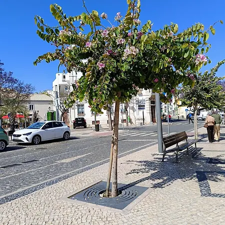 Grey And Green, Modern 2-bedroom Apartment, Ac, Location At Faro's Historic Centre